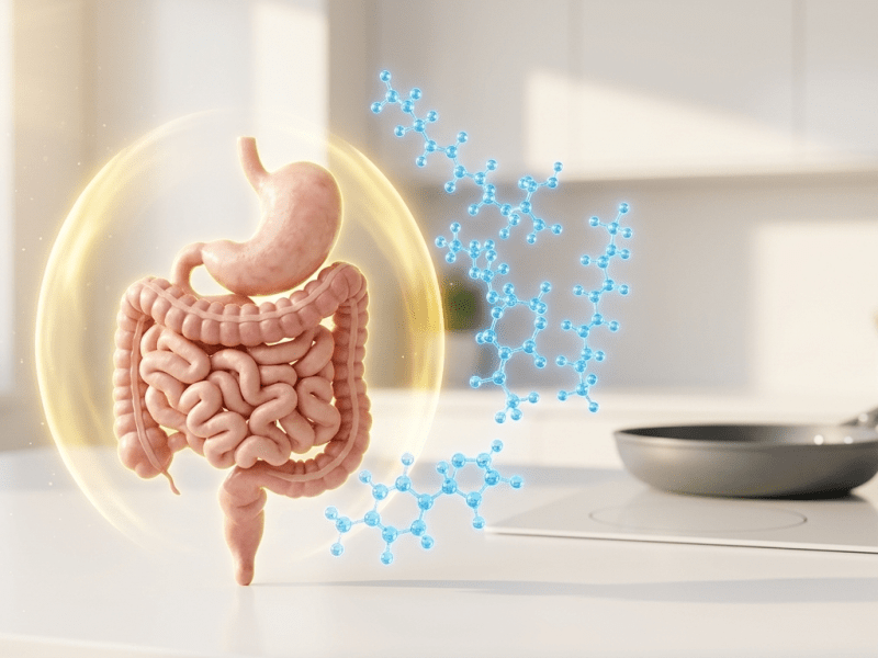 The ‘Forever Chemical’ Connection: How Early Exposure May Trigger Gut&nbsp;Inflammation